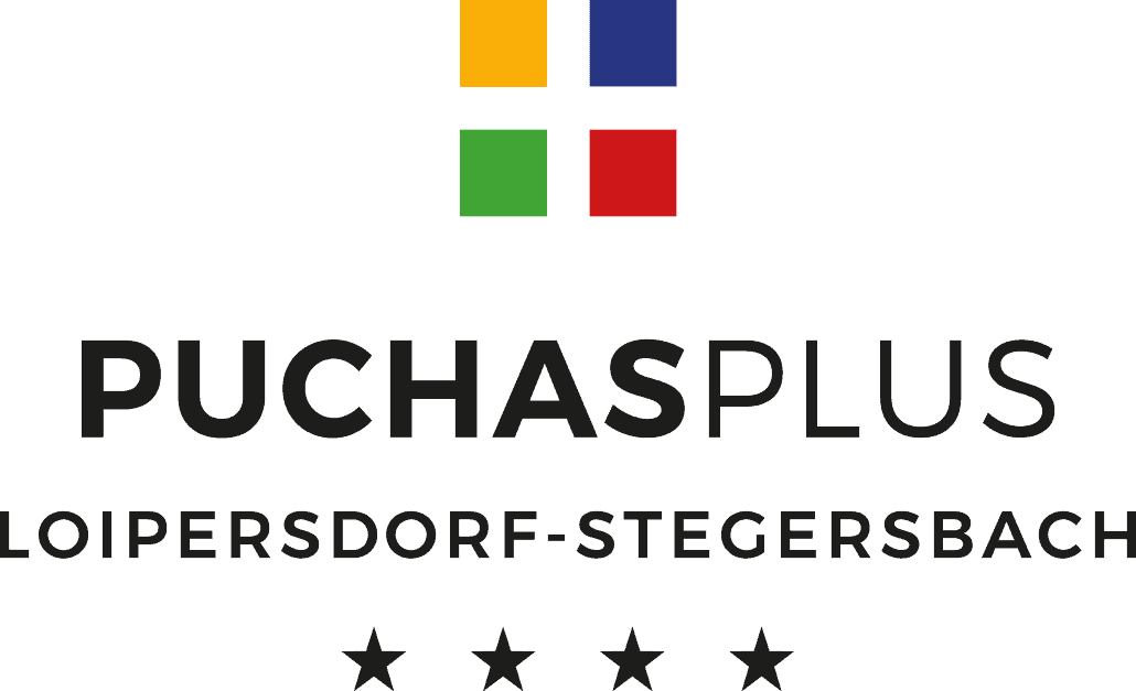 Logo von PuchasPLUS mit 4 quadratischen Kacheln in den Farben gelb, blau, grün und rot.